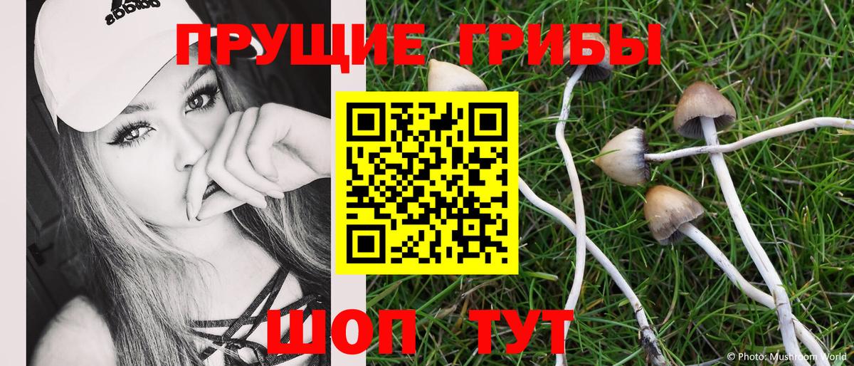 Галлюциногенные грибы ЛСД  Вход с VPN  Кунгур 