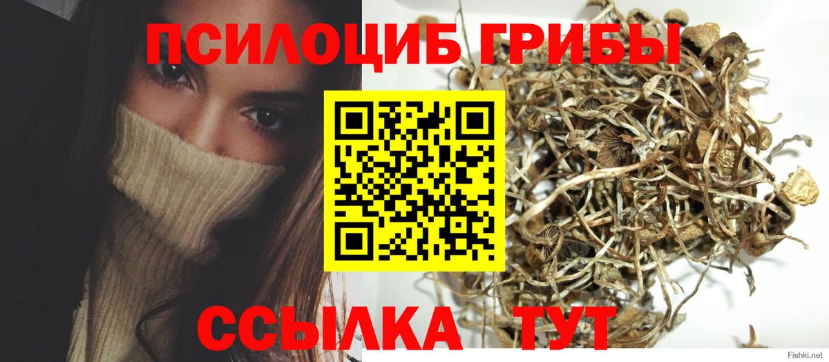 Галлюциногенные грибы Psilocybe Кунгур